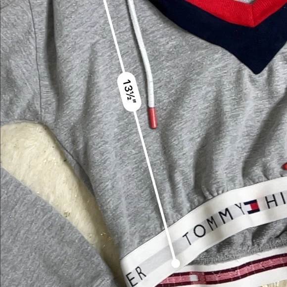 Tommy Hilfiger cropped grey retro v-neck hoodie - Picture 4 of 4